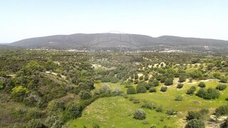 Land for sale in Torres Novas, Portugal — €8,075