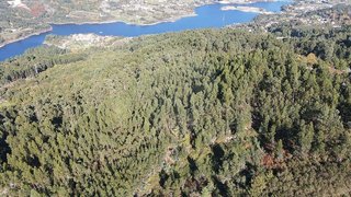 Terreno em Ribeira de Pena