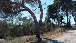 Land for sale in Ansião, Portugal — €14,000