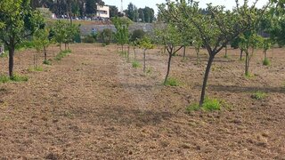 Land for sale in Penafiel, Portugal — €75,000