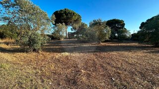 Land for sale in Azambuja, Portugal — €38,000