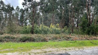 Land for sale in Arcos de Valdevez, Portugal — €39,900