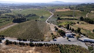 Land for sale in Anadia, Portugal — €18,000