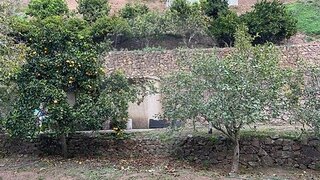 Land for sale in Monchique, Portugal — €215,000
