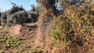 Land for sale in Tomar, Portugal — €30,000