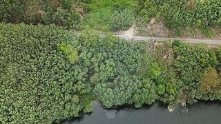 Land for sale in Santa Comba Dão, Portugal — €29,900