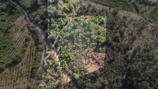 Land for sale in Amarante, Portugal — €25,500