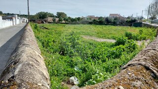 Land for sale in Alter do Chão, Portugal — €80,000