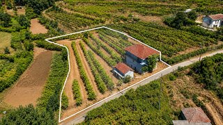 Land for sale in Felgueiras, Portugal — €85,000