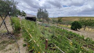 Land for sale in Castelo Branco, Portugal — €250,000