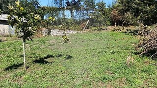 Land for sale in Vila Verde, Portugal — €10,000