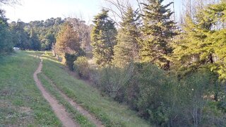 Land for sale in Alcanena, Portugal — €85,000