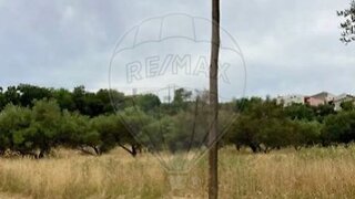 Terreno em São Brás de Alportel · 1340 m² · 56 000 €