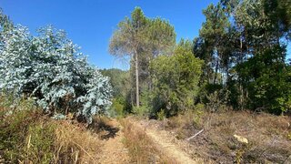 Land for sale in Arganil, Portugal — €74,500
