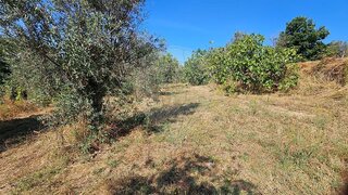 Land for sale in Trancoso, Portugal — €24,900