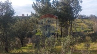 Land for sale in Abrantes, Portugal — €13,000
