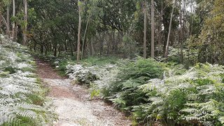 Terreno para venda em Mafra, Portugal — 15 200 €