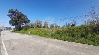 Land for sale in Tomar, Portugal — €60,000