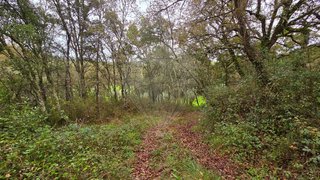 Land for sale in Ansião, Portugal — €300,000