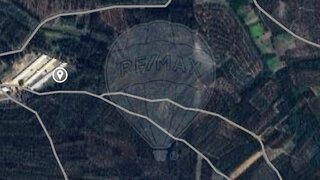 Land for sale in Anadia, Portugal — €12,745