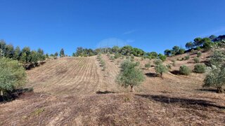 Land for sale in Rio Maior, Portugal — €36,000