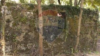 Land for sale in São Pedro do Sul, Portugal — €50,000