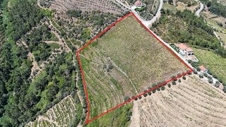 Land for sale in Sabrosa, Portugal — €120,000