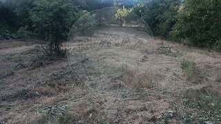 Terreno em Aguiar da Beira