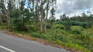 Land for sale in Pombal, Portugal — €25,000