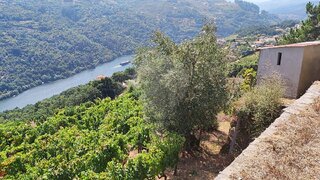 Land for sale in Baião, Portugal — €19,900