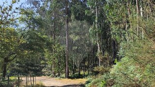 Land for sale in Celorico de Basto, Portugal — €95,000