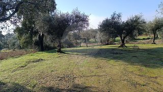 Land for sale in Penamacor, Portugal — €6,845