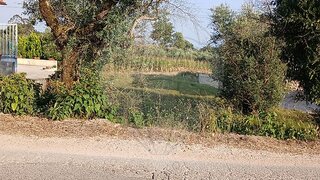 Land for sale in Ansião, Portugal — €12,000