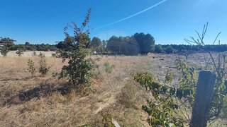 Terreno em Guarda · 14 327 m² · 35 000 €