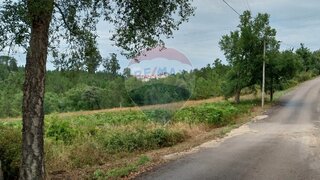 Land for sale in Sertã, Portugal — €220,000