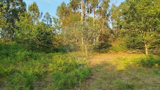 Terreno para venda em Vieira do Minho, Portugal — 39 000 €
