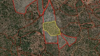 Land for sale in Torres Novas, Portugal — €6,350