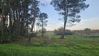 Land for sale in Ourém, Portugal — €10,000
