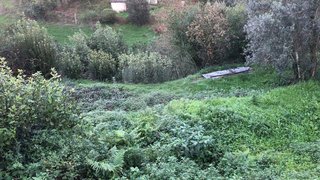 Land for sale in Gondomar, Portugal — €35,000