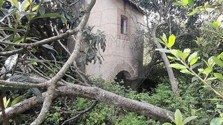 Terreno · 9760 m² · 67 000 €