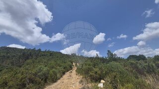 Land for sale in Torres Novas, Portugal — €8,000