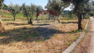 Land for sale in Sertã, Portugal — €24,920