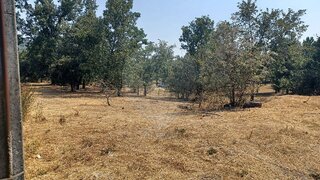 Land for sale in Belmonte, Portugal — €19,500