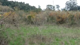 Land for sale in Sintra, Portugal — €20,000
