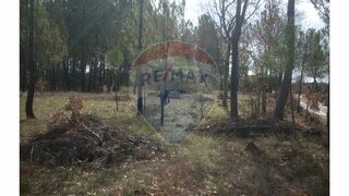 Land for sale in Guarda, Portugal — €8,500