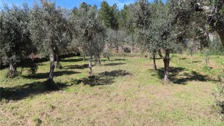 Terreno de 2201 m² em Castelo Branco