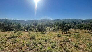 Land for sale in Ferreira do Zêzere, Portugal — €15,000