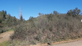 Land for sale in Silves, Portugal — €30,400
