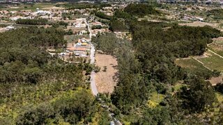 Land for sale in Anadia, Portugal — €49,750