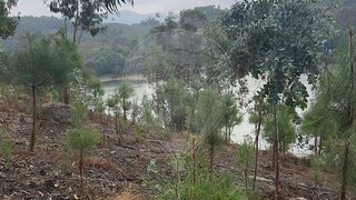Land for sale in Vieira do Minho, Portugal — €109,900